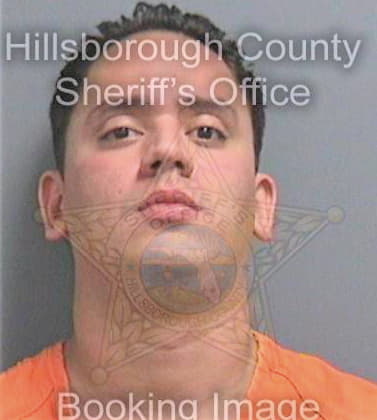 Mercadofandino Andres - Hillsborough County, FL 