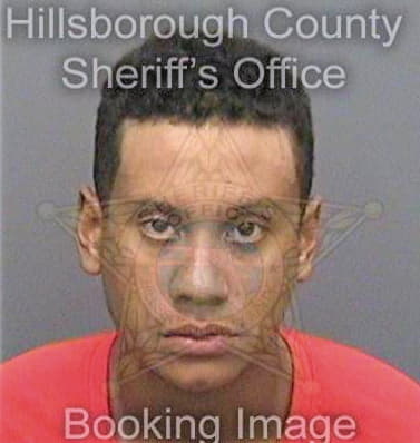 Herrera Osmel - Hillsborough County, FL 