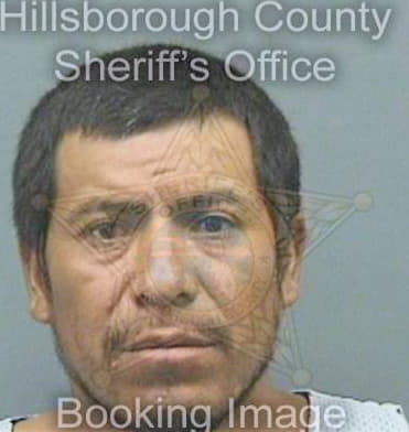 Martinez Bulmario - Hillsborough County, FL 