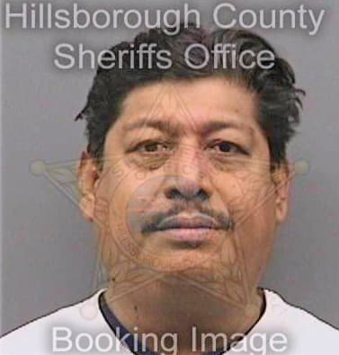 Espinosa Diego - Hillsborough County, FL 