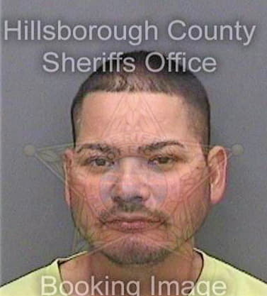 Perez Arturo - Hillsborough County, FL 