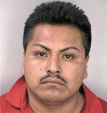 Hernandezpedro Gnacio - Hillsborough County, FL 