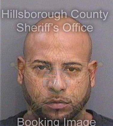 Silvabaretto Jose - Hillsborough County, FL 