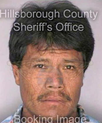 Cirilolopez Pedro - Hillsborough County, FL 