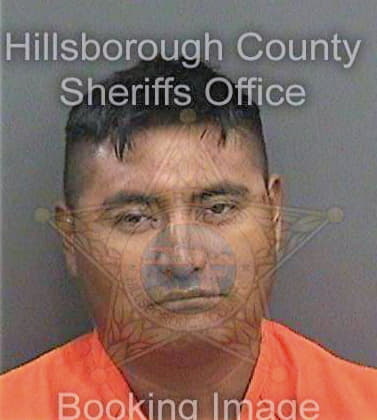 Diezperez Alejandro - Hillsborough County, FL 