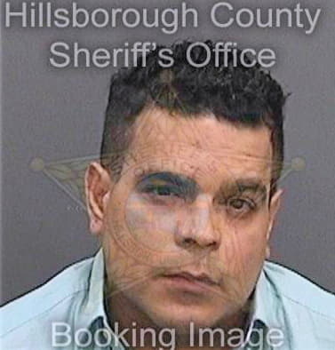 Torresdelgado Carlos - Hillsborough County, FL 