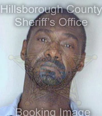 Ritchie David - Hillsborough County, FL 