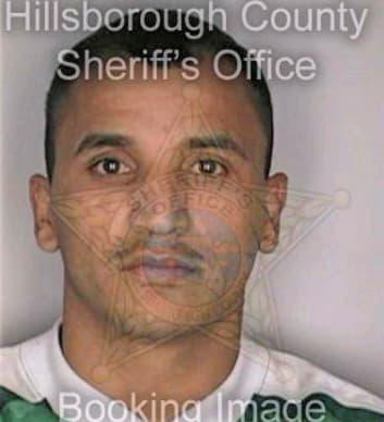 Chavezmartinez Hugo - Hillsborough County, FL 