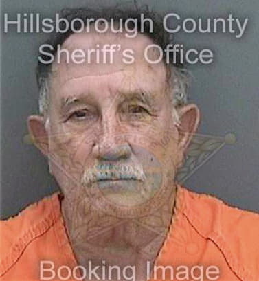 Medina Marcos - Hillsborough County, FL 