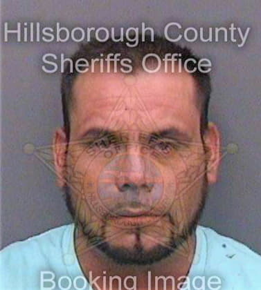 Lopezruiz Wilibaldo - Hillsborough County, FL 