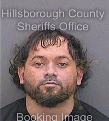 Coronagonzalez Henry - Hillsborough County, FL 