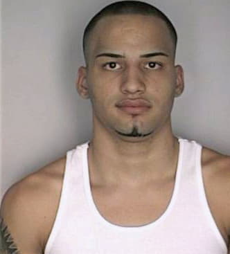 Martinez Yasiel - Hillsborough County, FL 