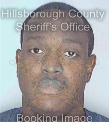 Nelson David - Hillsborough County, FL 