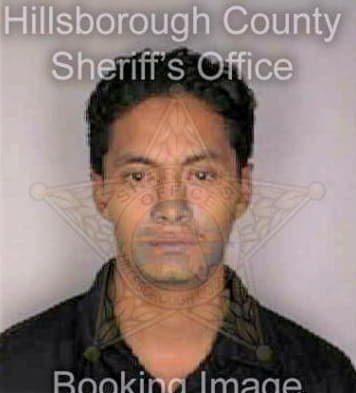 Resendizmartinez Juan - Hillsborough County, FL 