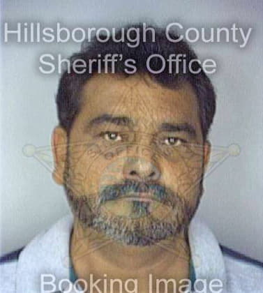 Leonreyes Enrique - Hillsborough County, FL 