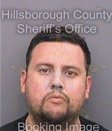 Gonzalezperez Hernando - Hillsborough County, FL 