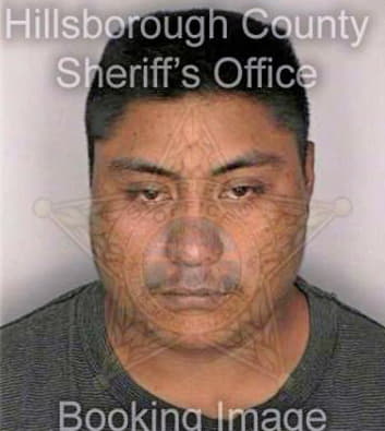 Perezhernandez Agustin - Hillsborough County, FL 