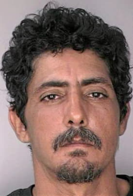 Guzmangonzalez Carlos - Hillsborough County, FL 