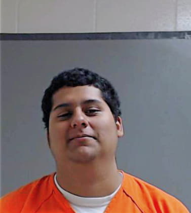 Diaz Daniel - Hidalgo County, TX 