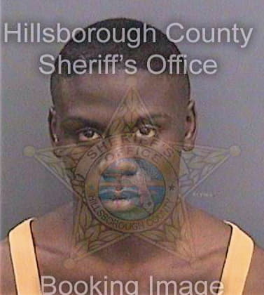 Johnson Ray - Hillsborough County, FL 