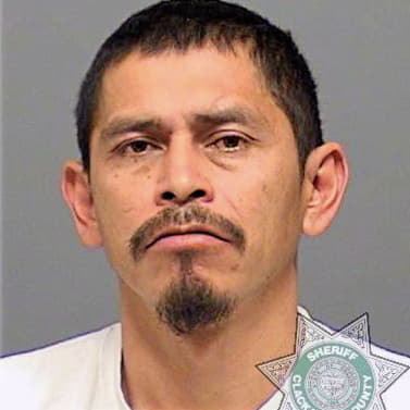 Araujo Felipe - Clackamas County, OR 