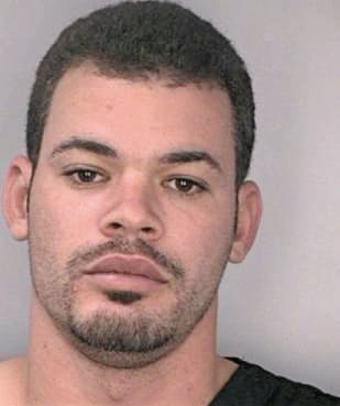 Silva Frankie - Hillsborough County, FL 