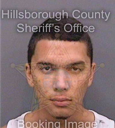 Satterfield Adam - Hillsborough County, FL 