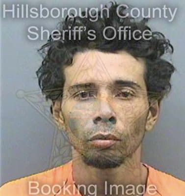 Sanchezcolon Omar - Hillsborough County, FL 