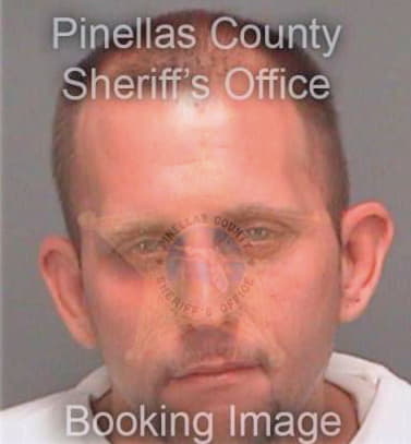 Stankovic Vladimir - Pinellas County, FL 