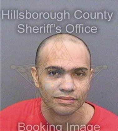 Canales Michael - Hillsborough County, FL 