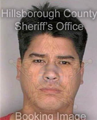 Perez Geraldo - Hillsborough County, FL 