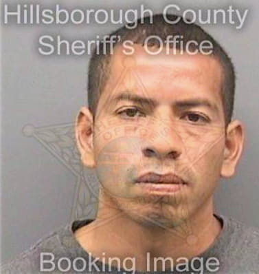 Balderas Luis - Hillsborough County, FL 