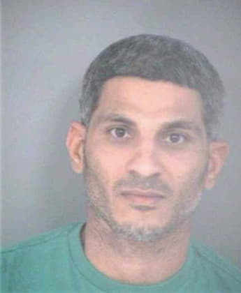 Elnoursi Nabil - Hillsborough County, FL 