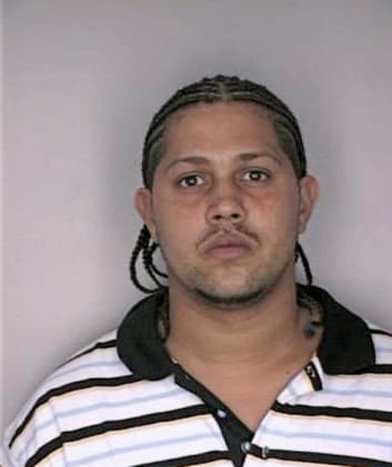 Vargasgonzalez Carlos - Hillsborough County, FL 