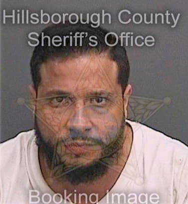 Bonet Yosnel - Hillsborough County, FL 