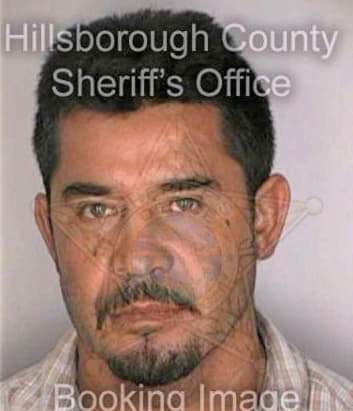 Diaz Miguel - Hillsborough County, FL 