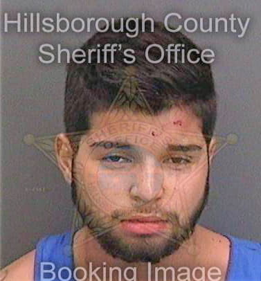 Solano Sebastian - Hillsborough County, FL 