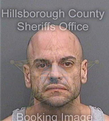 Mendezvargas Carlos - Hillsborough County, FL 