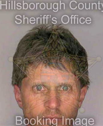 Michel David - Hillsborough County, FL 