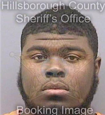 Richardson Ahmad - Hillsborough County, FL 