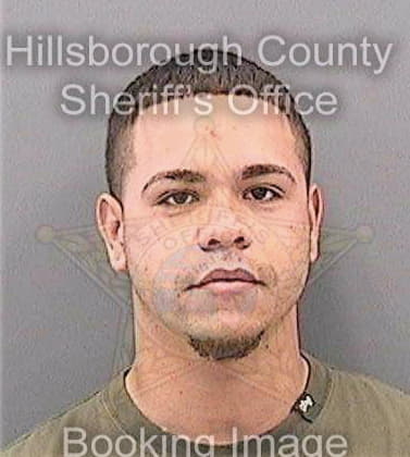 Martinez Raymond - Hillsborough County, FL 