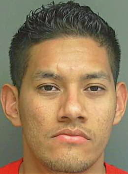 Hernandez Fredy - Douglas County, GA 