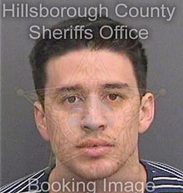 Orrego Daniel - Hillsborough County, FL 