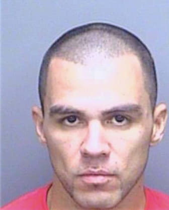 Arroyave Roberth - Pinellas County, FL 