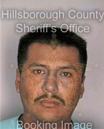 Rigueno Lucas - Hillsborough County, FL 