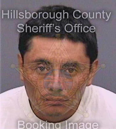 Ordonez Miguel - Hillsborough County, FL 