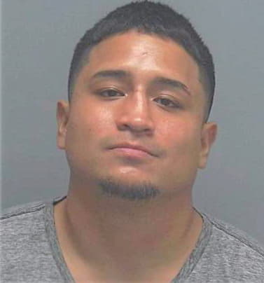 Rivas Henry - Lee County, FL 