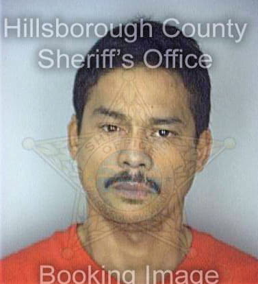 Lee Rene - Hillsborough County, FL 