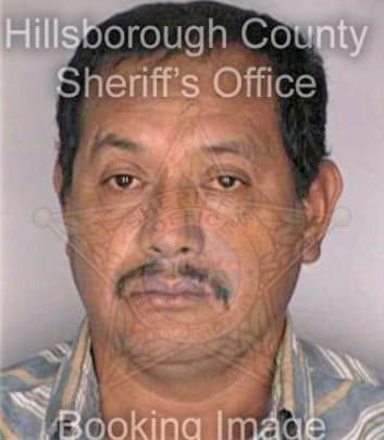 Guerra Jose - Hillsborough County, FL 