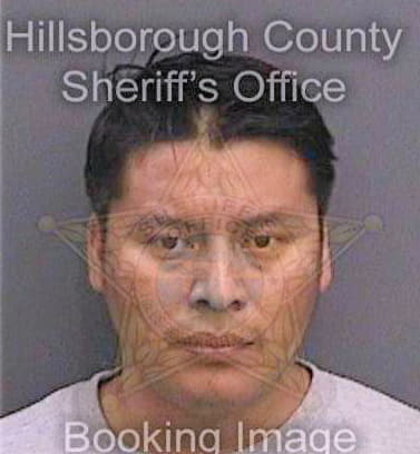 Mejiamorales Juan - Hillsborough County, FL 